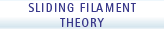 Sliding Filament Theory