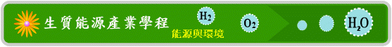 ෽P